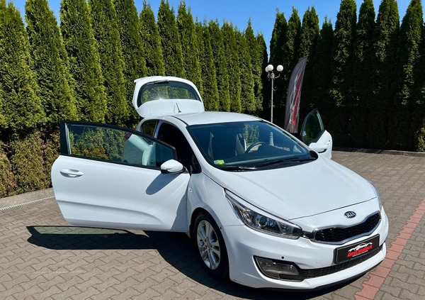 Kia Ceed cena 25900 przebieg: 216281, rok produkcji 2013 z Recz małe 704